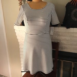 NWT Dress by Speechless Cute Stripe Design XL